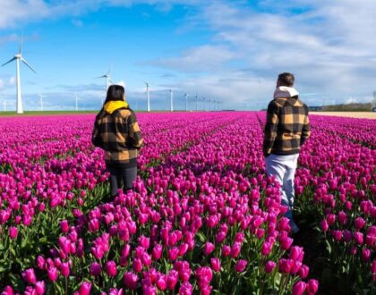 Top Benefits of Moving to Netherlands: A Comprehensive Guide